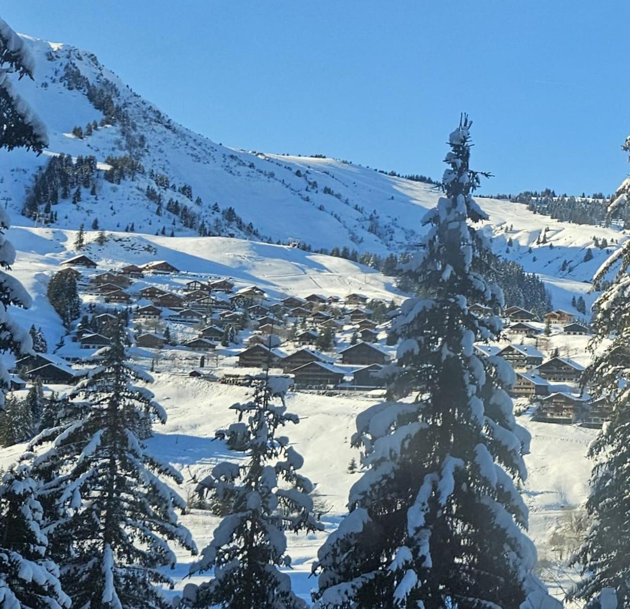 Alpage Immo Location Service Champoussin Buitenkant foto